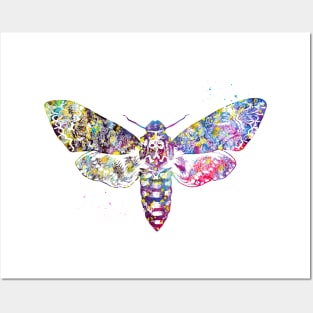 Moth Posters and Art